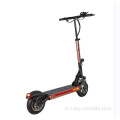 Adable adulable adulte auto-équilibre scooter électrique EU dropshipping 1200W